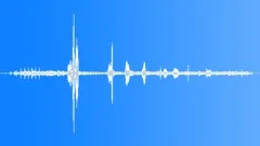 BlackCapped Mocking Thrush MDSound Effect