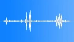 BlackCapped Mocking Thrush VariousSound Effect