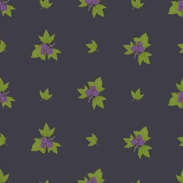 Blackcurrant Berry Seamless Pattern on Dark Graphite Background. Vector Bot.. Stock Illustration