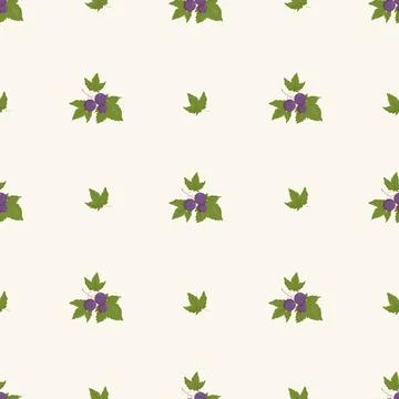 Blackcurrant Branches Seamless Pattern. Purple Berries with Leaves on White.. Stock Illustration