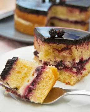 Blackcurrant cake Stock Photos