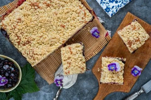 Blackcurrant cake Stock Photos