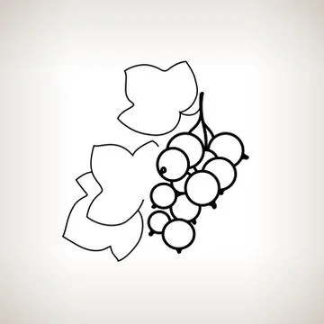 Blackcurrant in the Contours Illustrazione stock