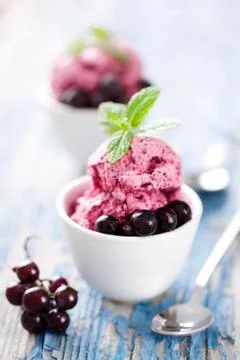 Blackcurrant dessert Stock Photos