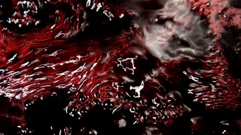 Blackcurrant jam is being prepared Stock Footage 256053104