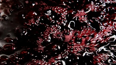 Blackcurrant jam is being prepared Stock Footage 256053338