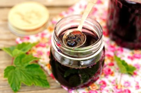 Blackcurrant Jam Stock Photos