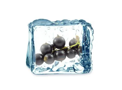 Blackcurrant Stock Photos