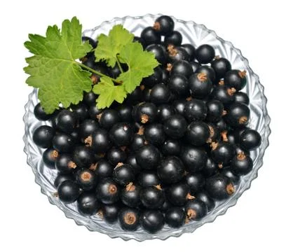 Blackcurrant Stock Photos