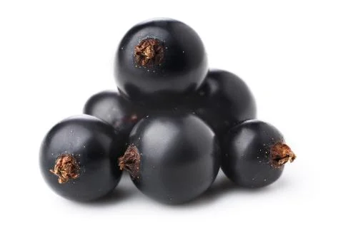 Blackcurrant Stock Photos