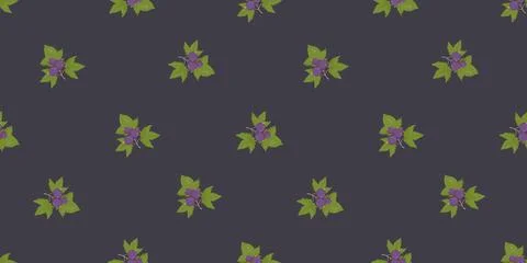 Blackcurrant Seamless Pattern. Branches of Berries with Leaves on Dark Grap.. Illustration