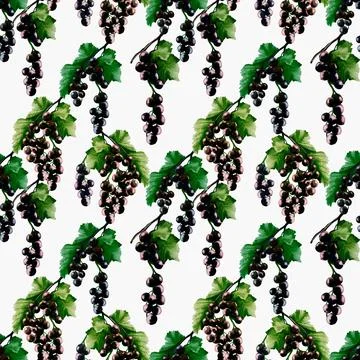 Blackcurrant watercolor pattern design for textile and packaging projects Stock Illustration