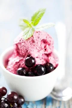Blackcurrent sorbet Stock Photos