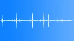 BlackEared Wheatear Calls Short Sound Effect