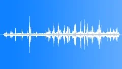BlackEared Wheatear Song Sound Effect