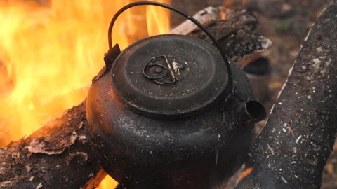 Blackened Kettle Boiling Over Open Fire in the Wilderness Video stock 307388218