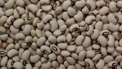 Blackeye beans slide glide over motion Stock Footage 148542325