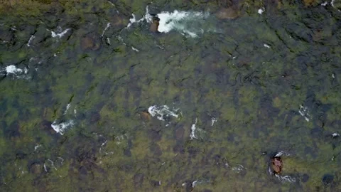 Blackfoot River 007 Stock Footage 166008948