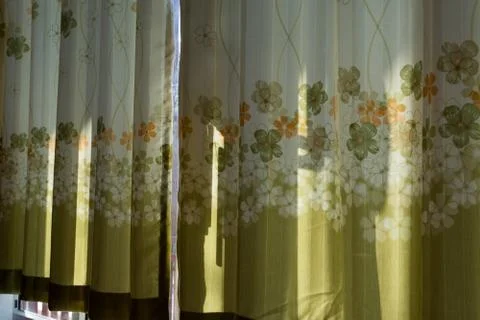 Blackground flower green Stock Photos