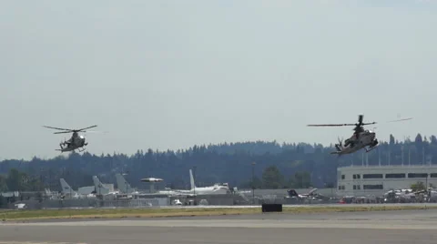 Blackhawks Landing Stock Footage 44235360