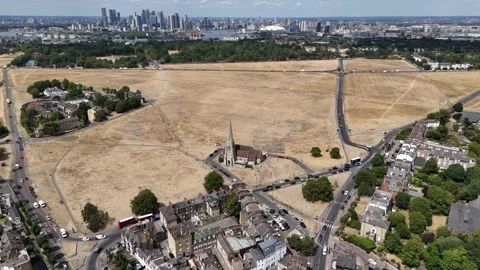 Blackheath's parched grass ahead of England's fourth heatwave Stock Footage 340643065