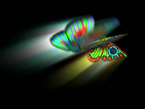 Blacklight Butterflies Stock Footage 333842