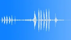 BlackNecked Swan CU CallsSound Effect