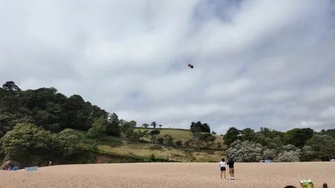 Blackpool Sands Kite flying wide shot Stock Footage 316624766