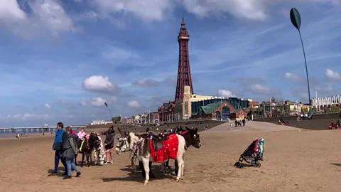Blackpool, UK 03/31/2024 Donkey Beach Rides. 4k video Stock Footage 270422906
