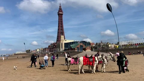 Blackpool, UK 03/31/2024 Donkey Beach Rides, 4k video Stock Footage 270422976