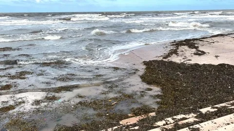 Blackpool, UK 05 July 2024; Tower Festival Headland coastal sea defences Stock Footage 278670537