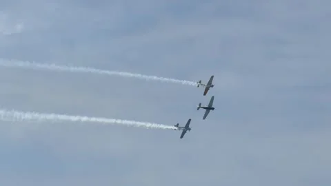 Blackpool, UK. 2025 AUG, 10; Yak Trio in 4K Stock-Footage 314733400
