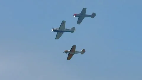 Blackpool, UK. 2025 AUG, 10; Yak Trio in 4K Stock-Footage 314734076
