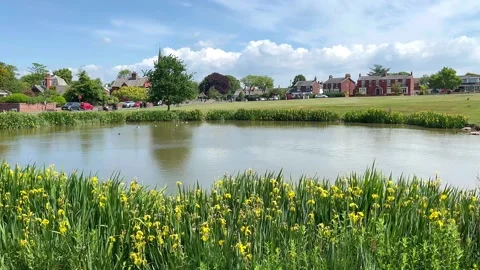 Blackpool, UK 2025 May 22; Wrea Green village park and fish pond. 4k video Stock Footage 309847827