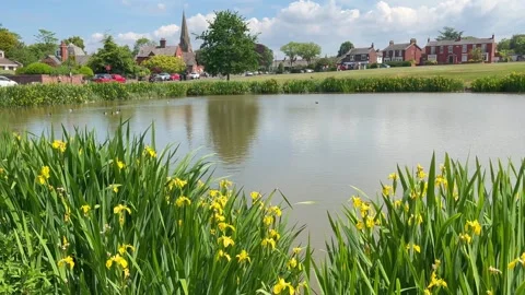 Blackpool, UK 2025 May 22; Wrea Green village park and fish pond. 4k video Stock Footage 309847834