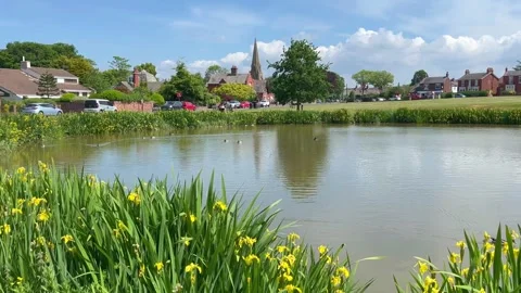 Blackpool, UK 2025 May 22; Wrea Green village park and fish pond. 4k video Stock Footage 309847851