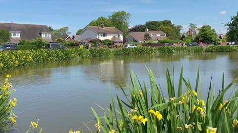 Blackpool, UK 2025 May 22; Wrea Green village park and fish pond. 4k video Stock Footage 309847894