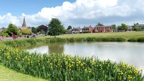 Blackpool, UK 2025 May 22; Wrea Green village park and fish pond. 4k video Stock Footage 309847896