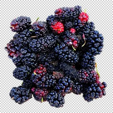BlackRaspberryfruit Stock Photos