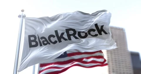 The Blackrock flag flutters in the wind with the US flag in the background. 库存影片 150808158