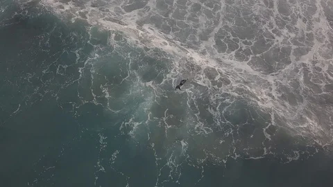 Black's Beach Surfing In 4K 스톡 동영상 119797143