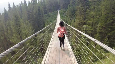 Blackshale suspension bridge in Peter Lougheed Provincial Park Video stock 160698866