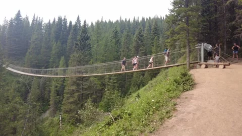 Blackshale suspension bridge in Peter Lougheed Provincial Park 스톡 동영상 160699531