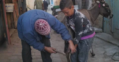 Blacksmith create a boot for the donkey Stock Footage 58659397