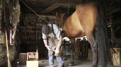 Blacksmith fixing horseshoe Stock Footage 63923778
