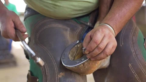Blacksmith nailing horseshoe Stock Footage 255837517