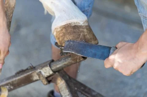 Blacksmith Stock Photos