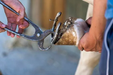 Blacksmith Stock Photos