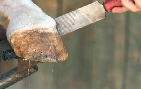 Blacksmith Stock Photos