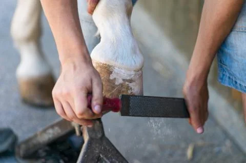 Blacksmith Stock Photos